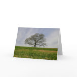 Tree of life Card cards