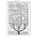 Tree of Life Cards