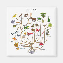 Tree Of Life Fridge Magnet