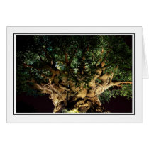 Tree of Life cards