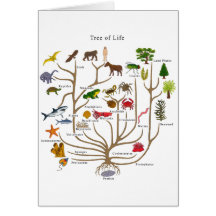 Tree Of Life Greeting Cards