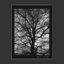 Tree of Life - Lebensbaum - Baum des Lebens postcards