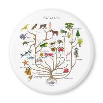 Tree Of Life magnets by atheist_store Tree Of Life magnets