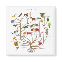 Tree Of Life magnets by atheist_store Tree Of Life magnets