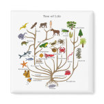 Tree Of Life Fridge Magnet