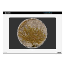 TREE OF LIFE, MOSS ON A ROCK 15" LAPTOP DECALS