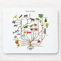 Tree Of Life Mouse Pads