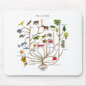 Tree Of Life mousepads by atheist_store Tree Of Life mousepads