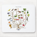 Tree Of Life Mouse Pads