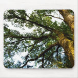 Tree of Life mousepads