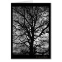 Tree of Life - not only for tree huggers cards