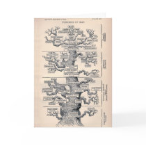 Tree Of Life / Pedigree Of Man cards by ShovelTest Tree Of Life / Pedigree Of Man cards