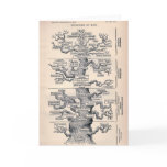Tree Of Life / Pedigree Of Man cards