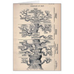 Tree Of Life / Pedigree Of Man Greeting Card