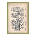 Tree Of Life / Pedigree Of Man posters