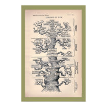 Tree Of Life / Pedigree Of Man posters