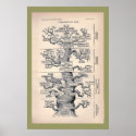 Tree Of Life / Pedigree Of Man posters