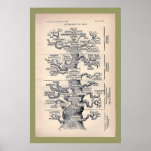 Tree Of Life / Pedigree Of Man Print