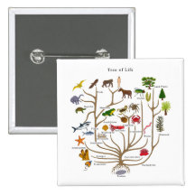 Tree Of Life Pin