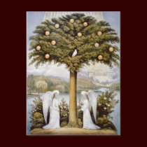 Tree of Life -  Postcard