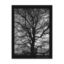 Tree of Life postcards by Rainmountain Tree of Life postcards
