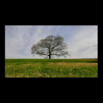 Tree of life - Poster posters by loving4021 Tree of life - Poster posters