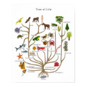 Tree of Life posters by bobby77lee Tree of Life posters