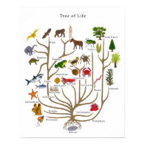 Tree of Life posters