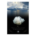 TREE OF LIFE posters by arteologist23 TREE OF LIFE posters