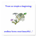 Tree of Life posters by nathans1985 Tree of Life posters