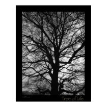 Tree of Life posters
