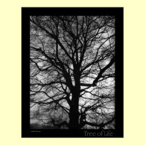 Tree of Life posters by Rainmountain Tree of Life posters