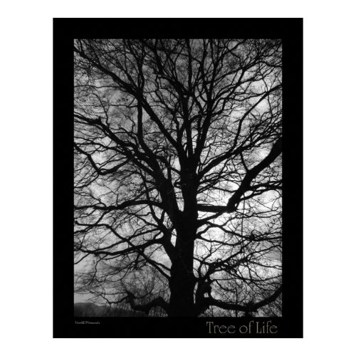 Tree of Life print