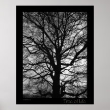Tree of Life Poster