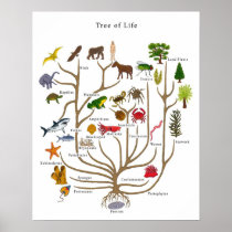 Tree of Life Posters