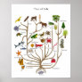 Tree of Life Posters