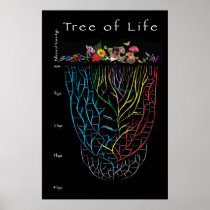 Tree of Life posters