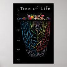 Tree of Life Posters