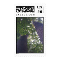 Tree Of Life Series postage