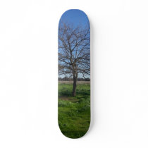 Tree of Life skateboards