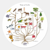 Tree Of Life Sticker