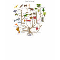 Tree Of Life t-shirts by atheist_store Tree Of Life t-shirts