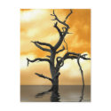 Tree of Pain postcards