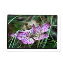 Tree of Solitary Leaf posters