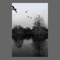 tree of the birds posters