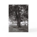 Tree of two cards