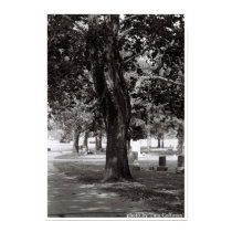 Tree of two posters