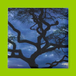 Tree on Blue magnets