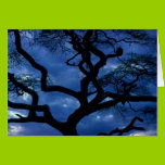 Tree on Blue cards