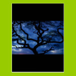 Tree on Blue postcards